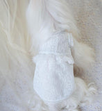 �yXS-XL�zƒŒ�[ƒX‚̃fƒRƒ‰ƒuƒ‰ƒEƒX