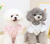 �yS-XXL�zƒ`ƒFƒŠ�[‚̃tƒŠƒ‹TƒVƒƒƒc